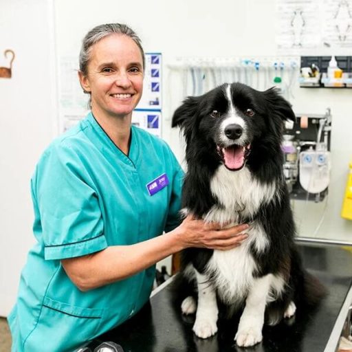 Dr Jeny Heislers