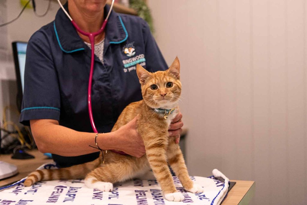 General Practice