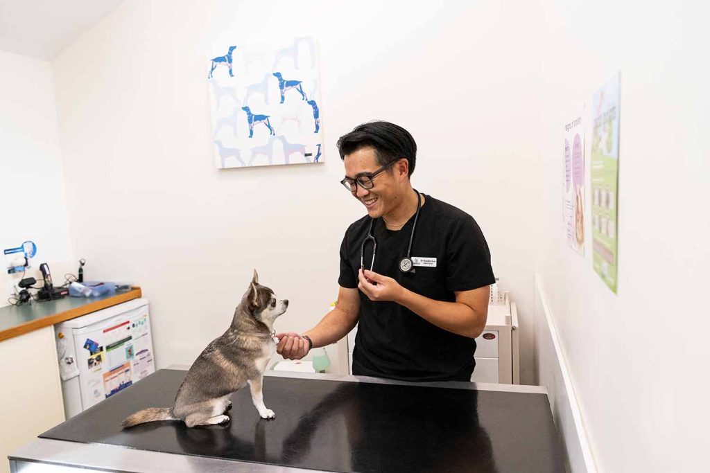 Behavioural Services