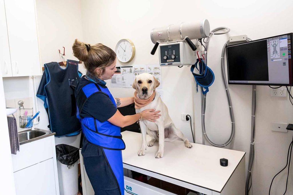 Medical Imaging