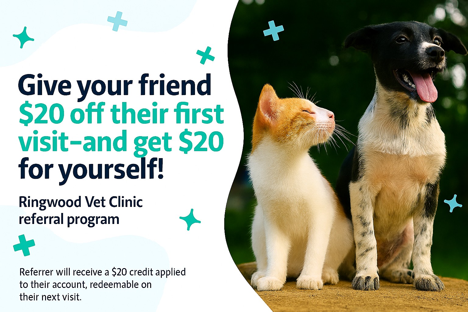 Ringwood Vet clinic referral offer 2026